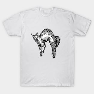 Kitty Kat T-Shirt